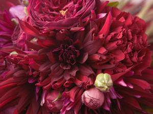 パートナー選びに結婚相談しましょう